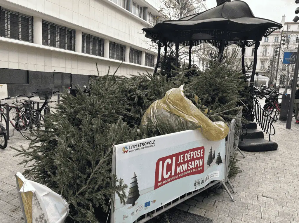 Reprise de l’opération « Collecte des sapins de Noël »